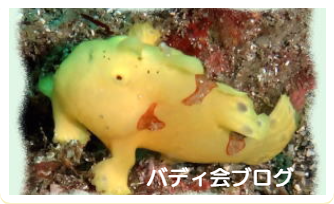 バディ会ブログ