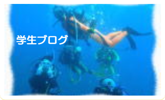 学生ブログ